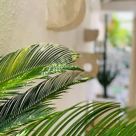 Hébergement de vacances Casa Katina Korčula