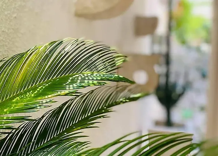 Dom wakacyjny Casa Katina Korčula